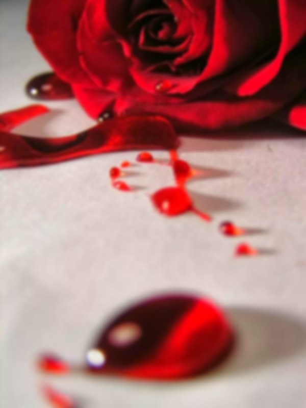 Create meme: scarlet blood, blood rose, roses in the blood