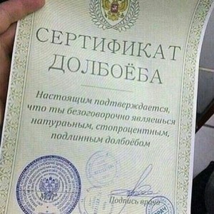 Create meme: certificate, the certificate of the ass in good quality, certificate dolbaeba