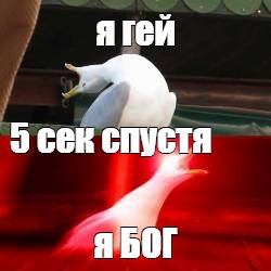 Создать мем: null