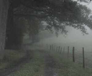 Create meme: spring fog, fog and rain, nature 