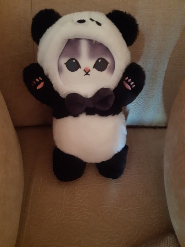 Create meme: soft toy Panda, A soft teddy bear in a panda costume, Panda toy