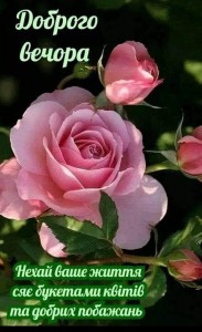 Create meme: flowers beautiful roses, beautiful flowers, beautiful roses