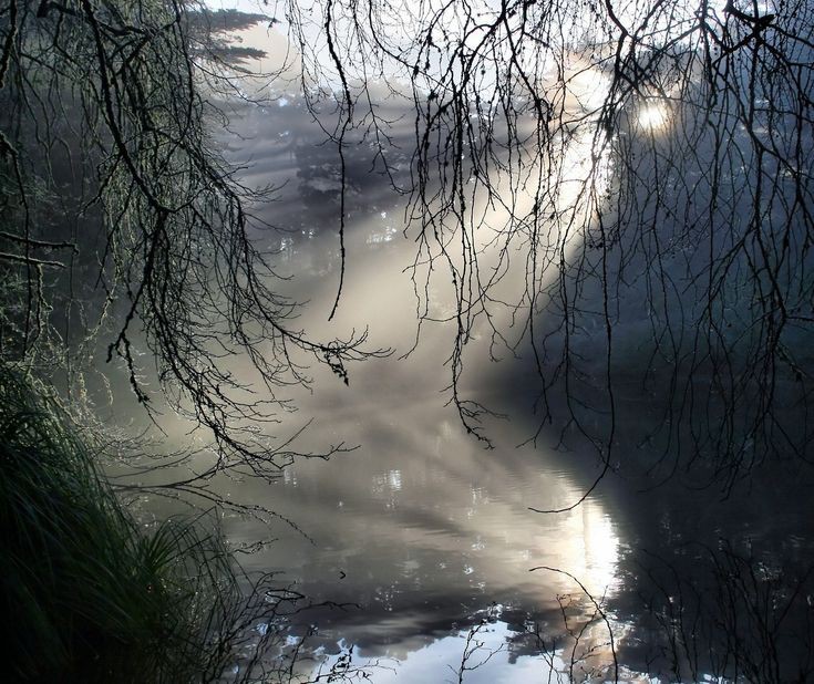 Create meme: morning fog , fog on the water, fog over the water