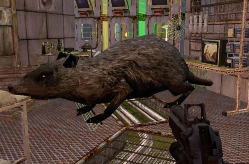 Create meme: The rat from stalker, rat mutant stalker, rats 