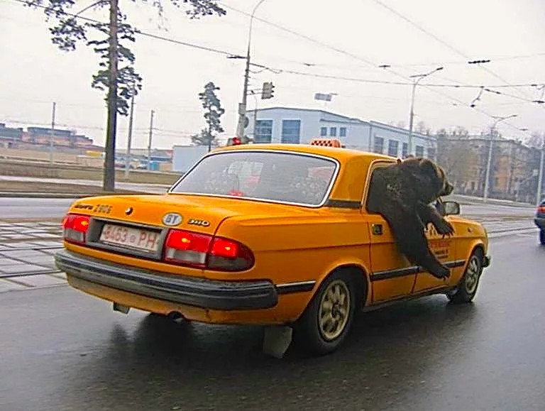 Create meme: gaz 3110 Volga taxi, Volga 3110, taxi photo jokes