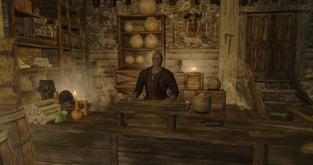 Create meme: skyrim mod, skyrim game, Skyrim Tavern