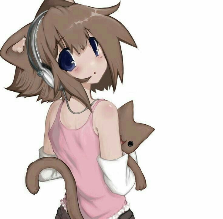 Create meme: anime neko, kawaii anime, Yuki Neko