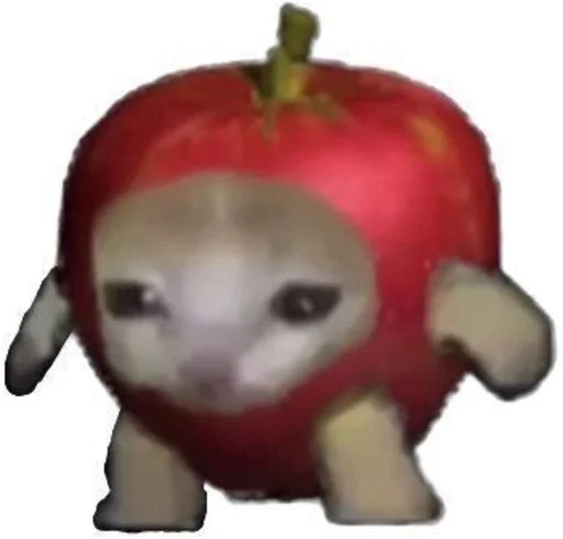 Create meme: cat apple meme, apple cat, good animation