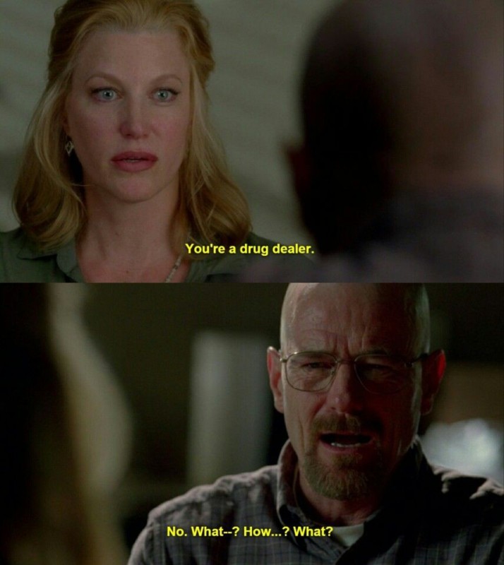 Create meme: Walter white , breaking bad , Skyler White Season 1