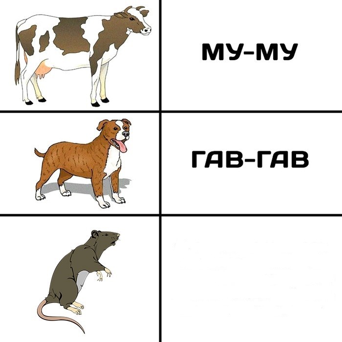 Создать мем: мем гав гав гав, гав гав, собака гав