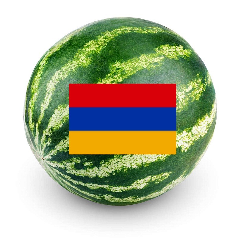 Create meme: watermelon uzbekistan, watermelon watermelon, watermelon photo