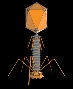 Создать мем: bacteriophage, бактериофаг, Робот вирус