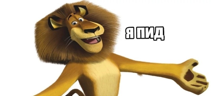Create meme: meme of Madagascar, Madagascar Alex the lion, lion Madagascar