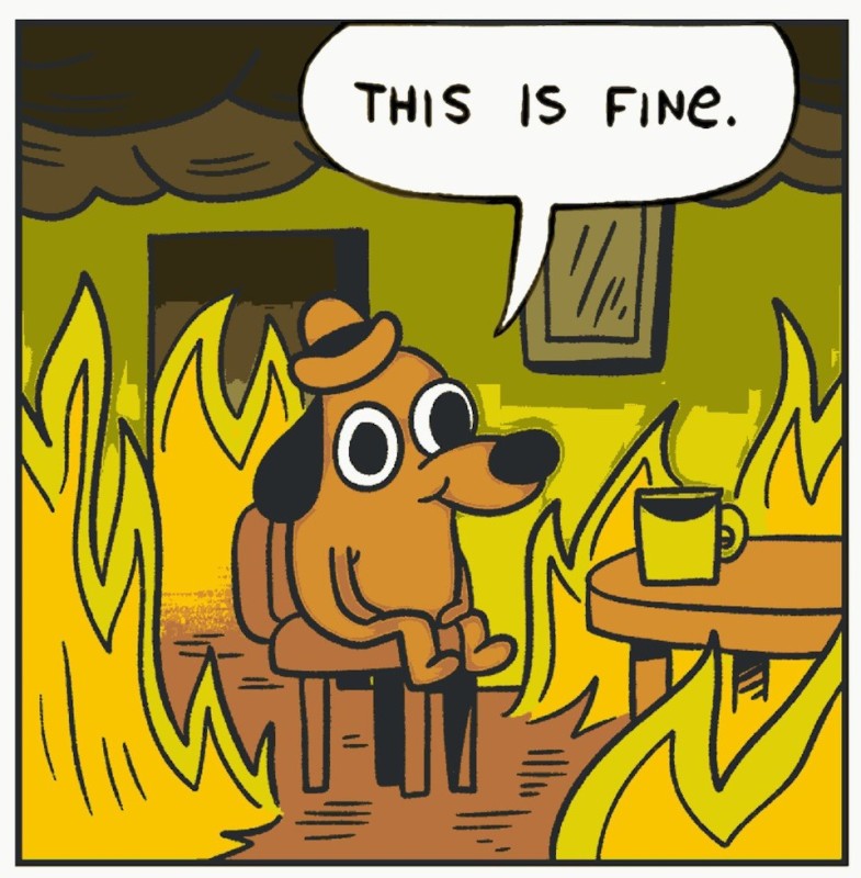 Create meme: a dog in a fire meme, dog in heat meme, dog in the burning house
