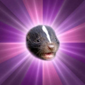 Create meme: Party Skunk