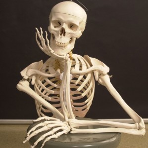 Создать мем: тело человека скелет, скелет в ожидании, скелет кости