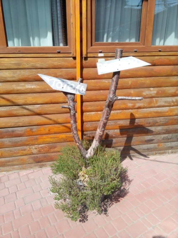 Create meme: signs in the garden, alpine courtyard Krasnaya Polyana, plant 