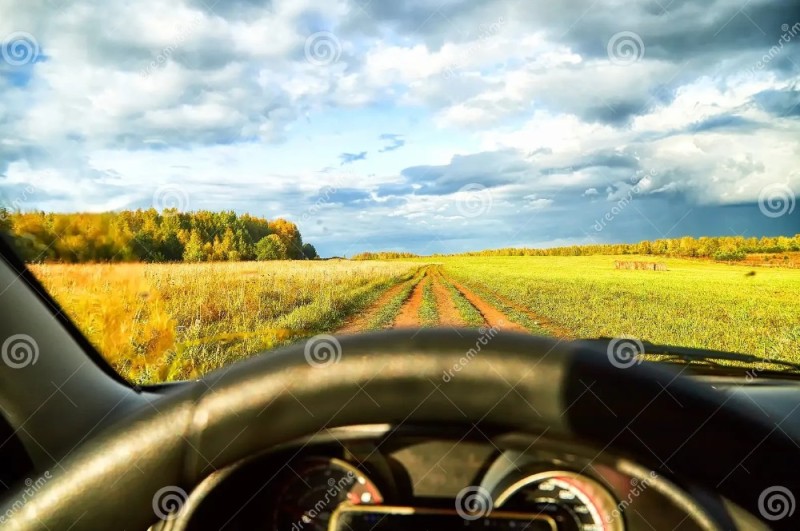 Create meme: field and road, view from the car window in the field, road nature