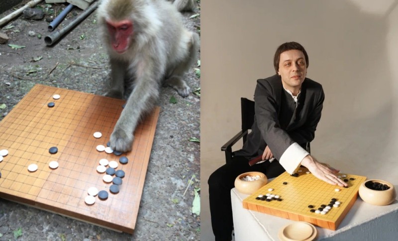 Создать мем: сотая обезьяна, белая обезьяна, обезьяна макака