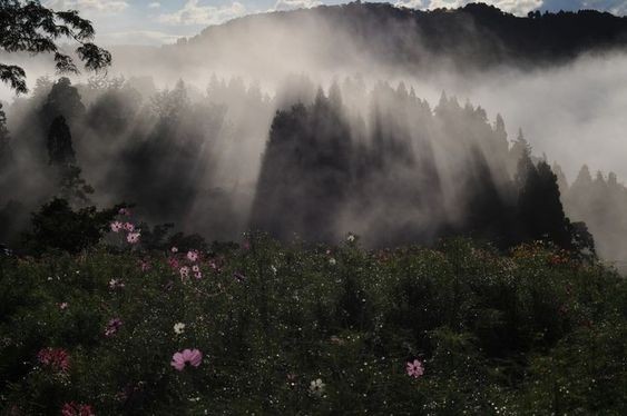 Create meme: mist mountains, nature landscape, nature fog