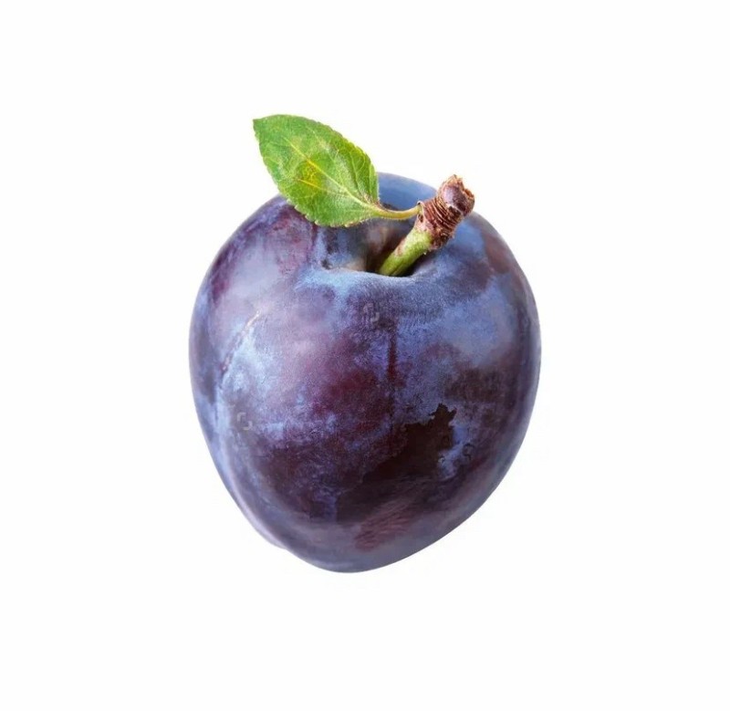 Create meme: plum on a white background, plums on a white background, plum clipart