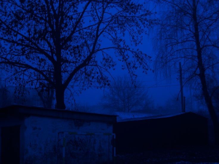 Create meme: dark blue night, dark background nature, night 