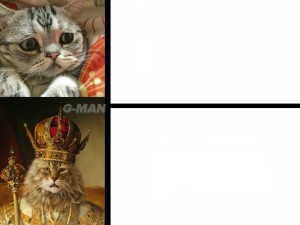 Create meme: cat Basil, cat, I love cats