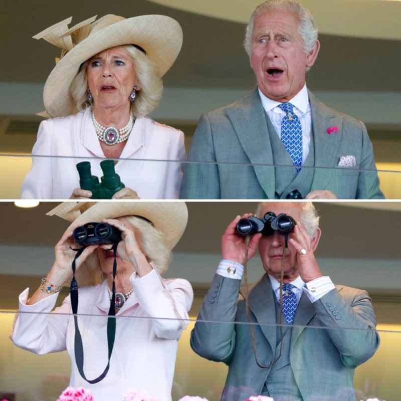 Create meme: Andrew Parker-Bowles, Elizabeth ii , Prince Charles m Camilla