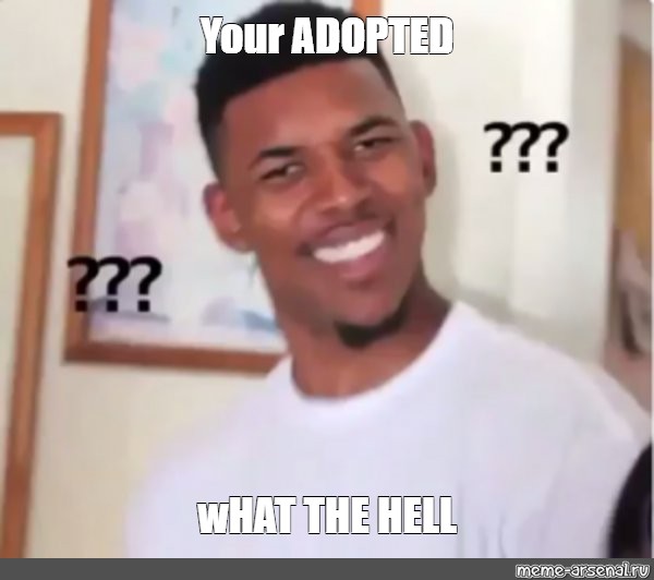 Meme: &quot;Your ADOPTED wHAT THE HELL&quot; - All Templates - Meme-arsenal.com