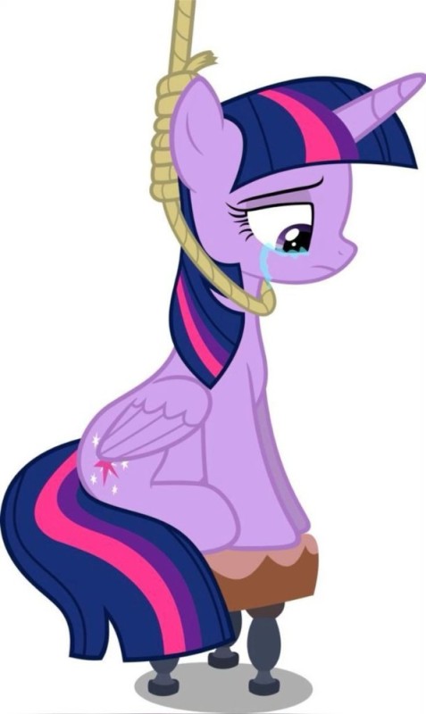 Create meme: pony twilight sparkle, evil twilight sparkle, twilight sparkle alicorn