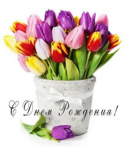 Create meme: happy birthday with tulips, greeting card with tulips on March 8, images happy birthday flowers tulips