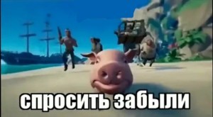 Create meme: pig, screenshot