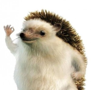Create meme: hedgehog meme, the hedgehog haha yes, hedgehog