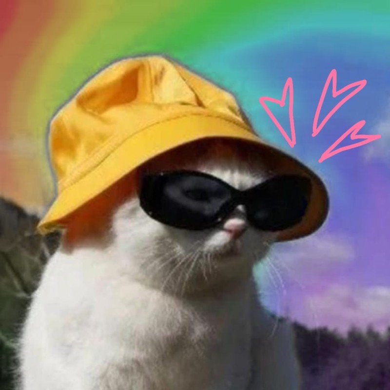 Create meme: a cat in a panama hat and glasses, a cat in a panama hat and glasses