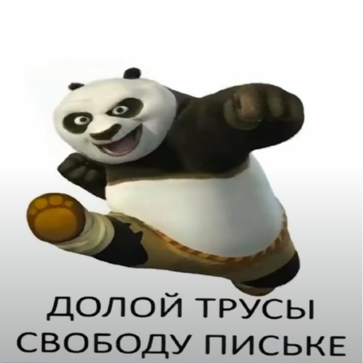 Create meme: Down with cowards., Down with panties and pussy, Kung fu panda