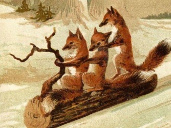 Create meme: fox painting, The fox and the fox, foxes on a log