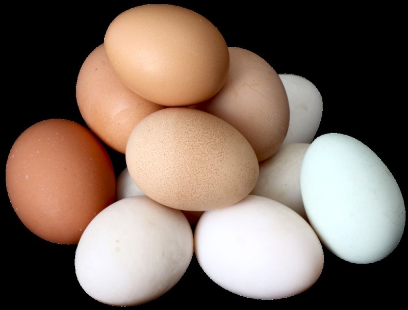 Create meme: homemade egg, homemade chicken eggs, large chicken eggs