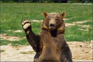Создать мем: медведь дратути, медведа, гризли машет