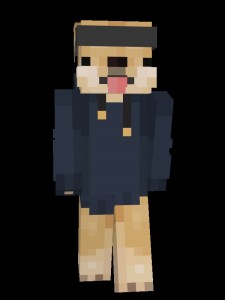 Create meme: for minecraft skins, minecraft skins, skins minecraft