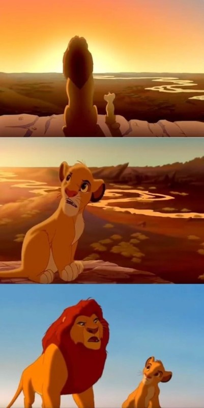 Create meme: memes of the lion king, the lion king , lions the lion king