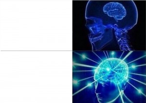 Create meme: meme about the brain, blue brain meme, the overmind meme template