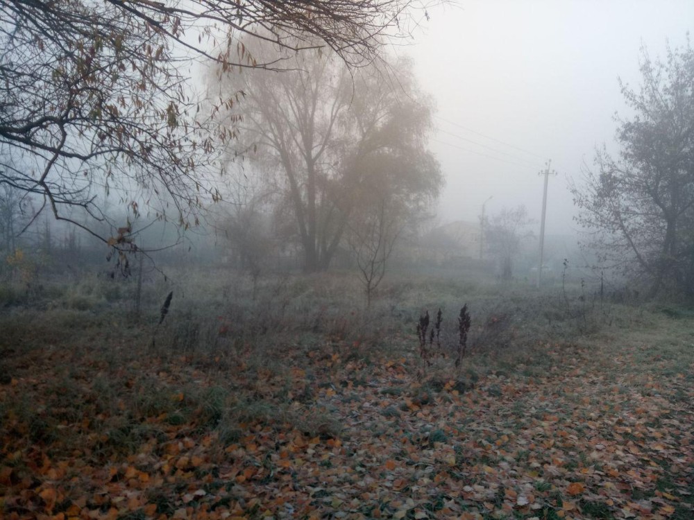 Глаза в тумане осеннем. Туман поздней осенью. Конец осени туман. Поздняя осень Эстетика туман. Дом в тумане поздняя осень.