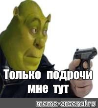 Create meme: m dvach, memes, stoned Shrek
