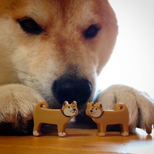 Create meme: doge meme, dog, Shiba inu meme