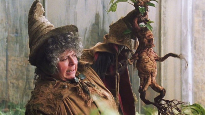 Create meme: Mandrakes Harry Potter, mandrake root harry potter, pomona stem harry potter