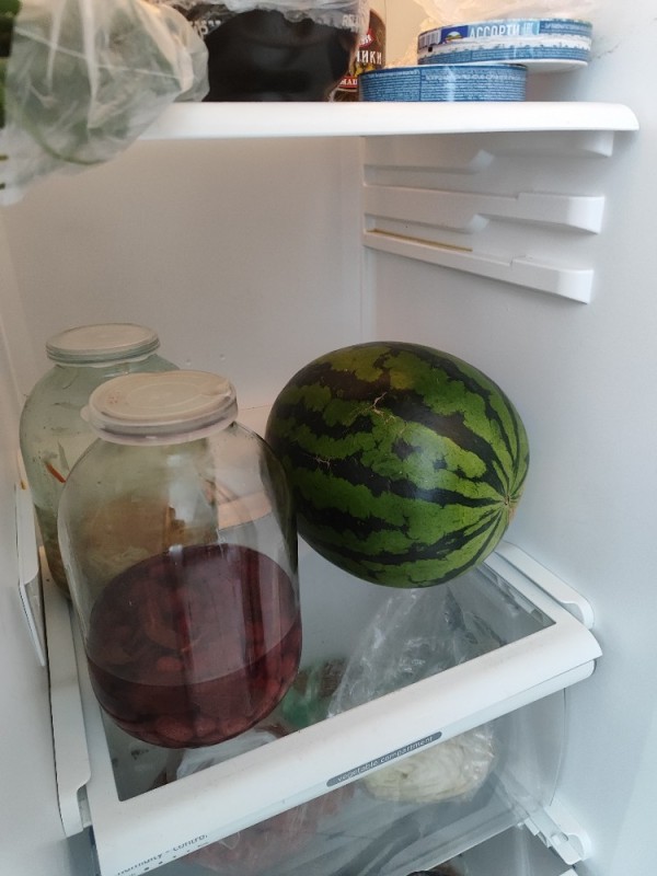 Create meme: refrigerator shelf, refrigerator , refrigerator with food