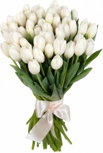 Create meme: white tulips, a bouquet of tulips