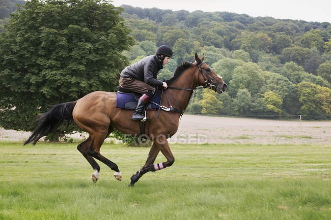 Create meme: a guy on a horse galloping, racehorse, a man on a horse gallop