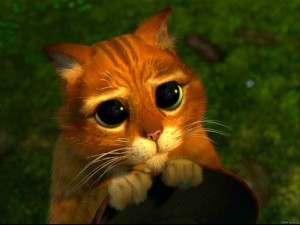 Create meme: cat from Shrek eyes, the cat from Shrek pictures, Shrek cat with big eyes