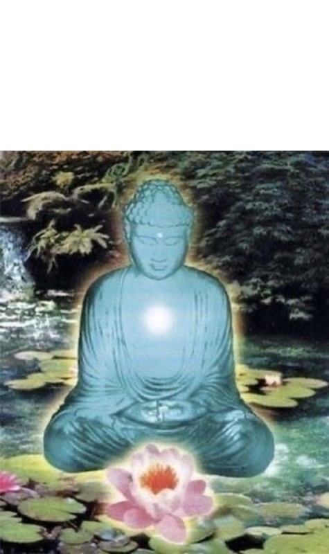 Create meme: The lotus Buddha, Buddha , Buddha Ranong